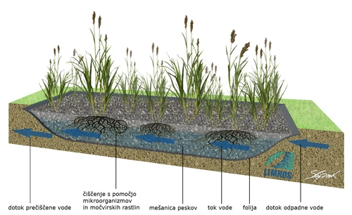 Shema raslinske čistilne naprave z navedenimi fazami delovanja