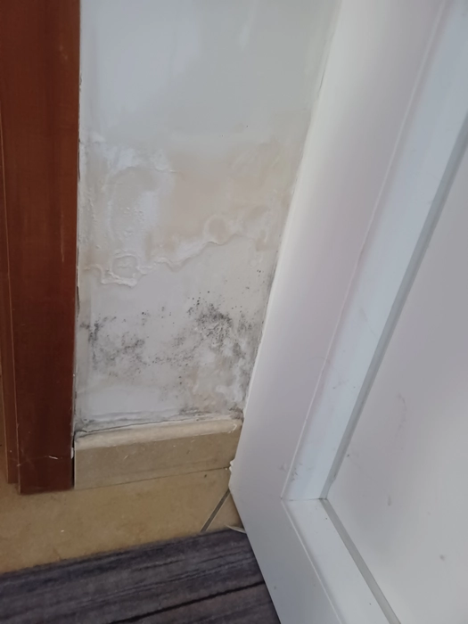 Mold growth on interior wall corner