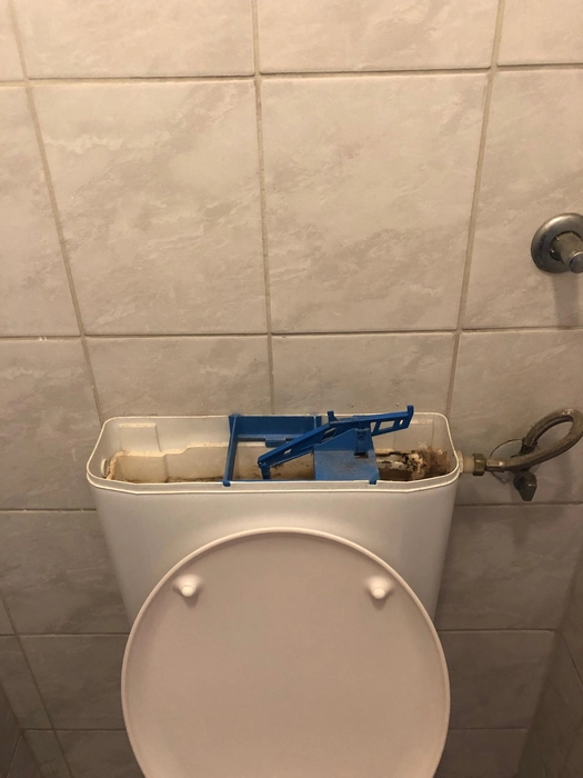 Toilet tank with exposed flushing mechanism (36836)