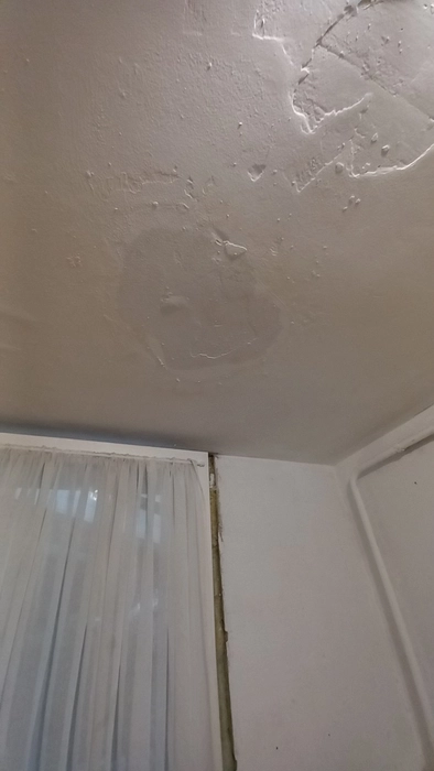 Ceiling water stain (75059)