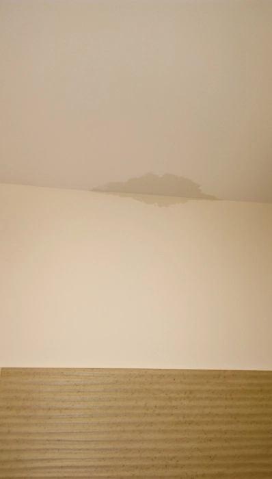 Water stain on ceiling (88032)